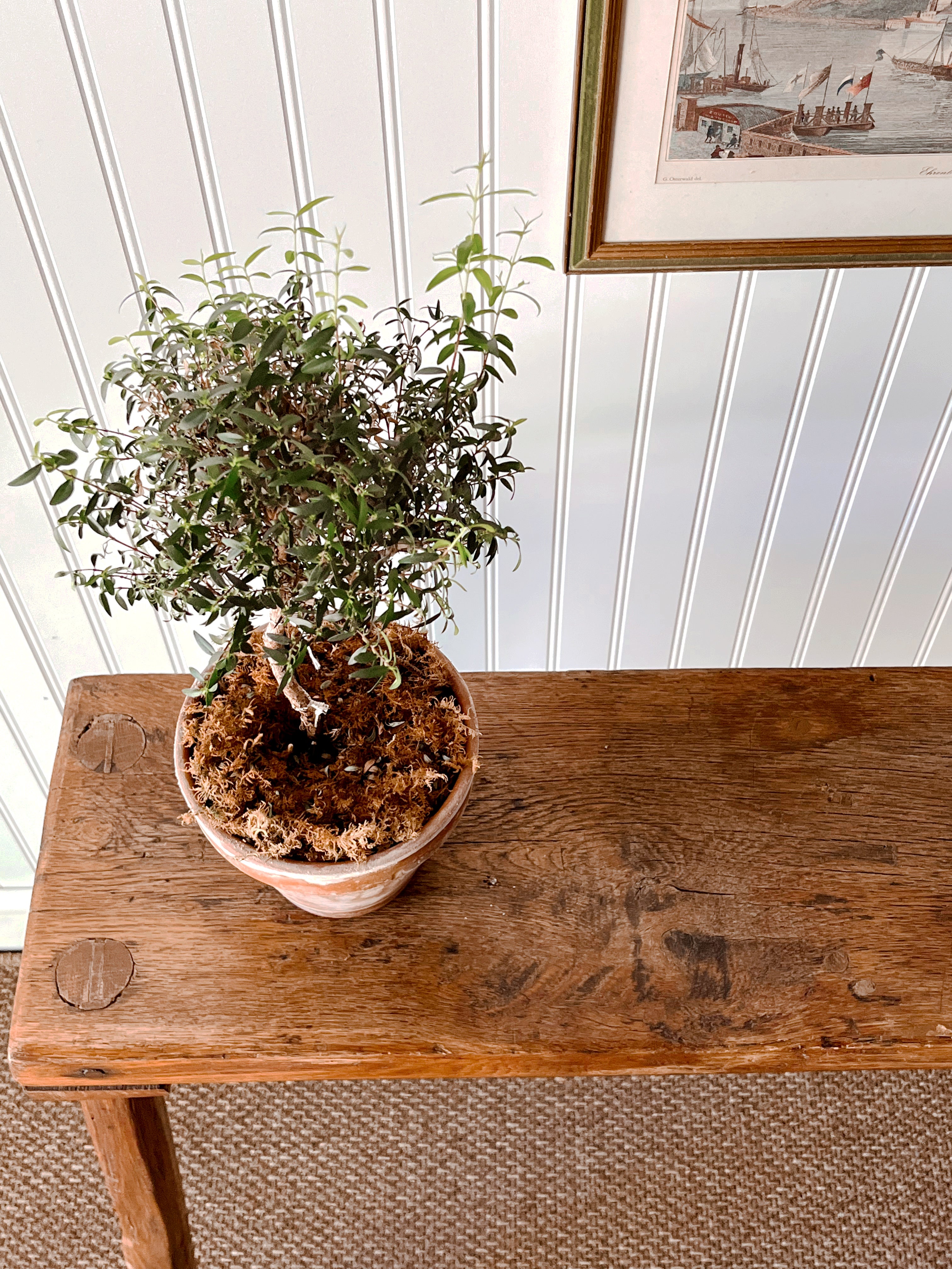 Antique Primitive Saw Horse Table
